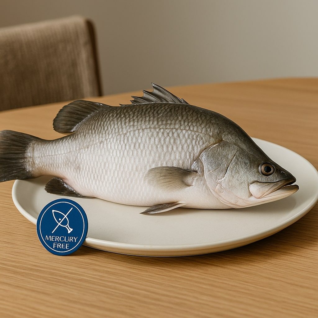 Cum ajută bibanul de mare australian la un viitor sustenabil, cu metode ecologice de producție și gust unic